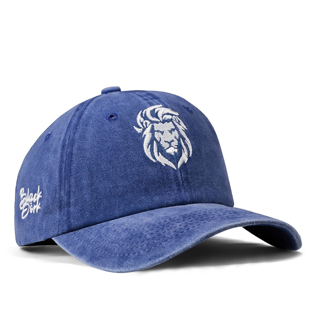Gorra azul vintage