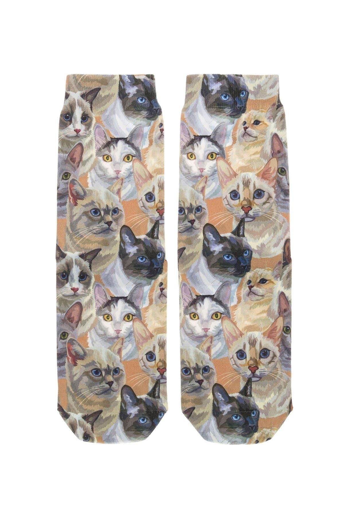 Kedi Desenli Soket Çorap