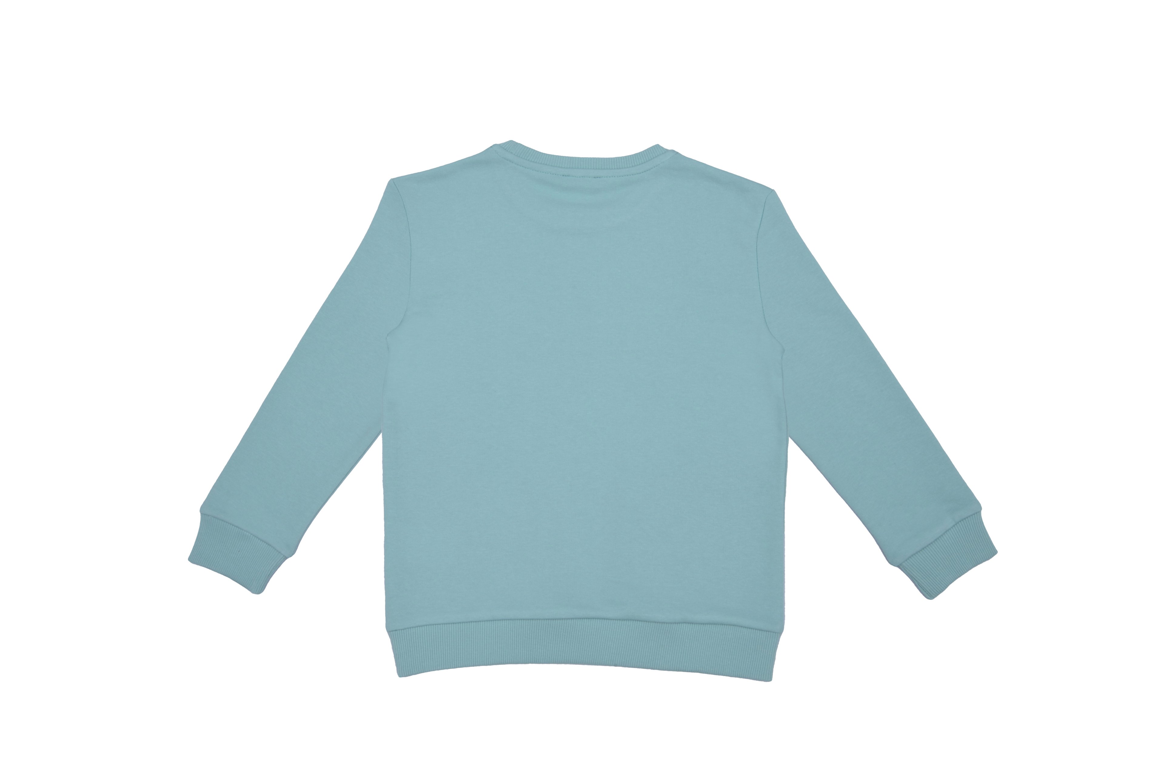 Benetton Erkek Çocuk Sweatshirt BNT-B21877 - Turkuaz