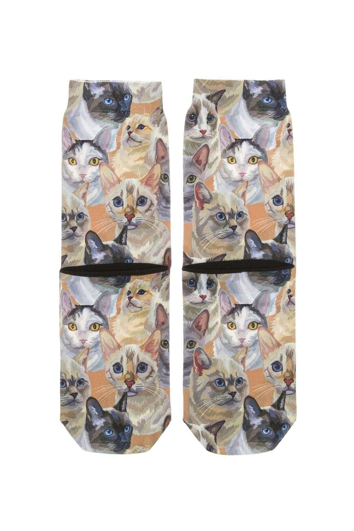 Kedi Desenli Soket Çorap