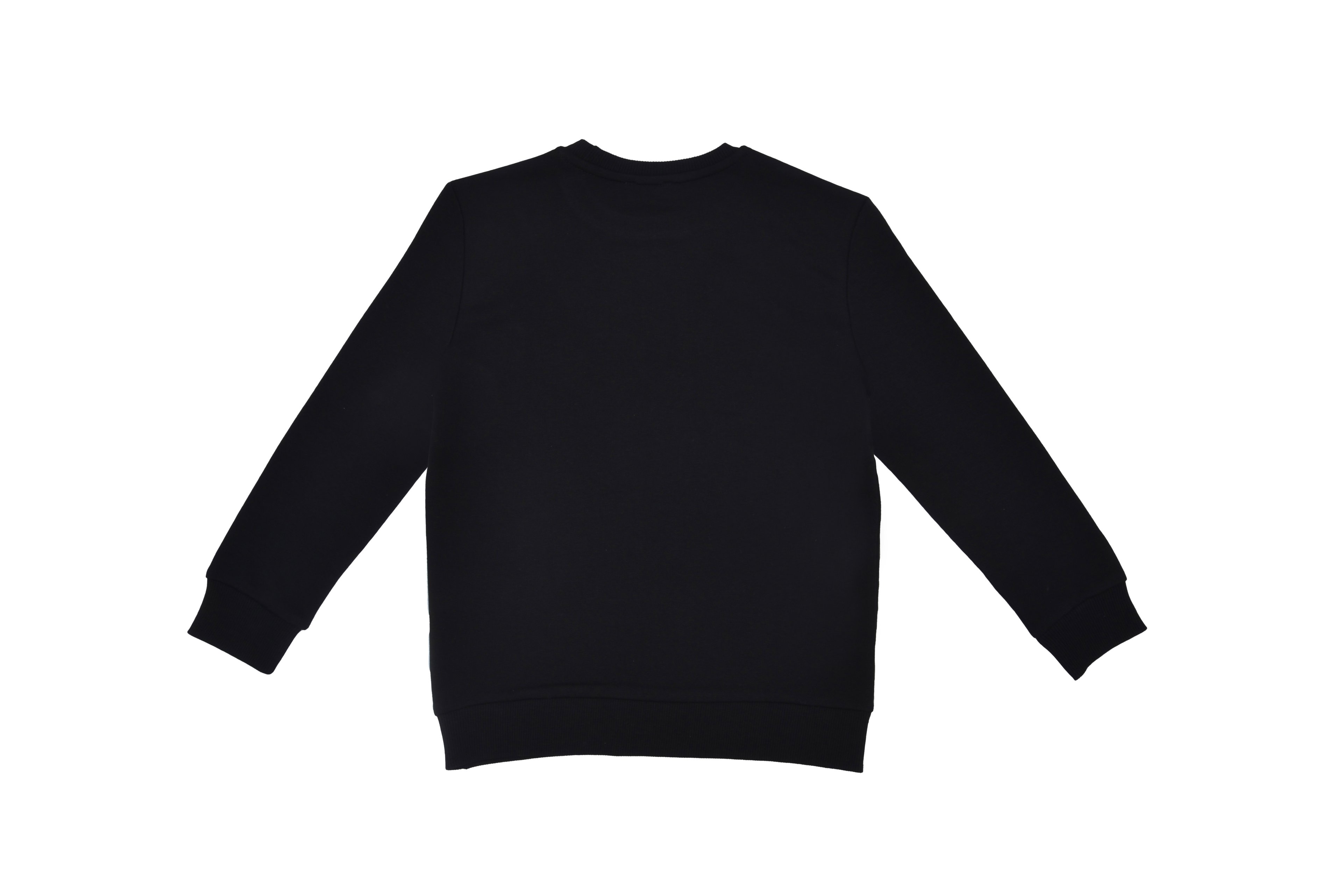 Benetton Erkek Çocuk Sweatshirt BNT-B21877