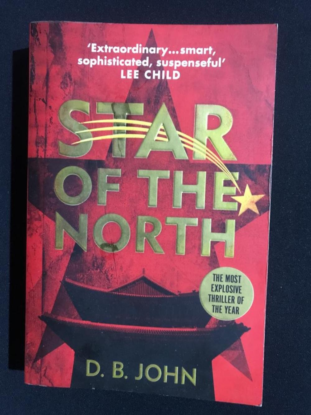 Star of the North A Novel - D. B. John