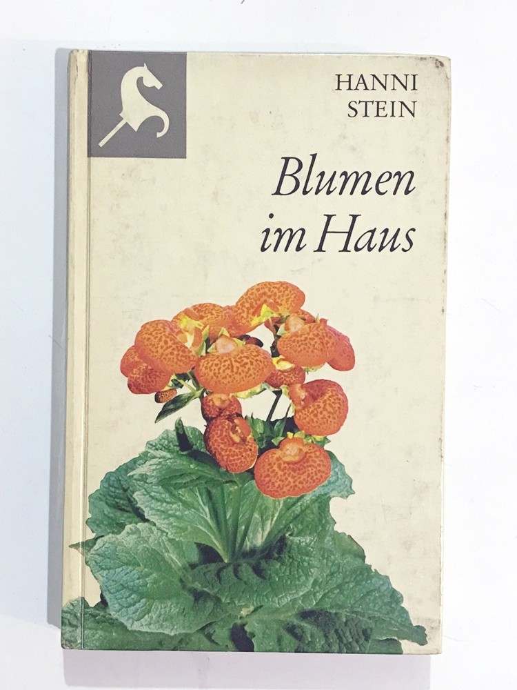 Blumen im Haus / Hannı STEIN - Kitap