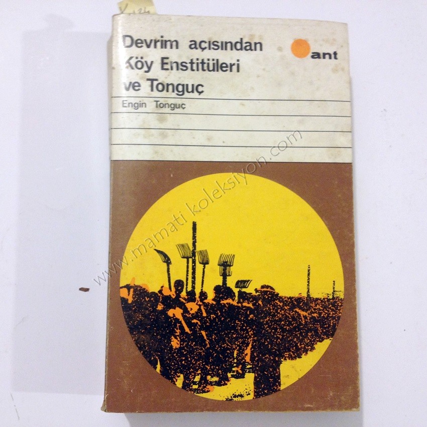 Devrim Açısından Köy Enstitüleri ve Tonguç - Kitap