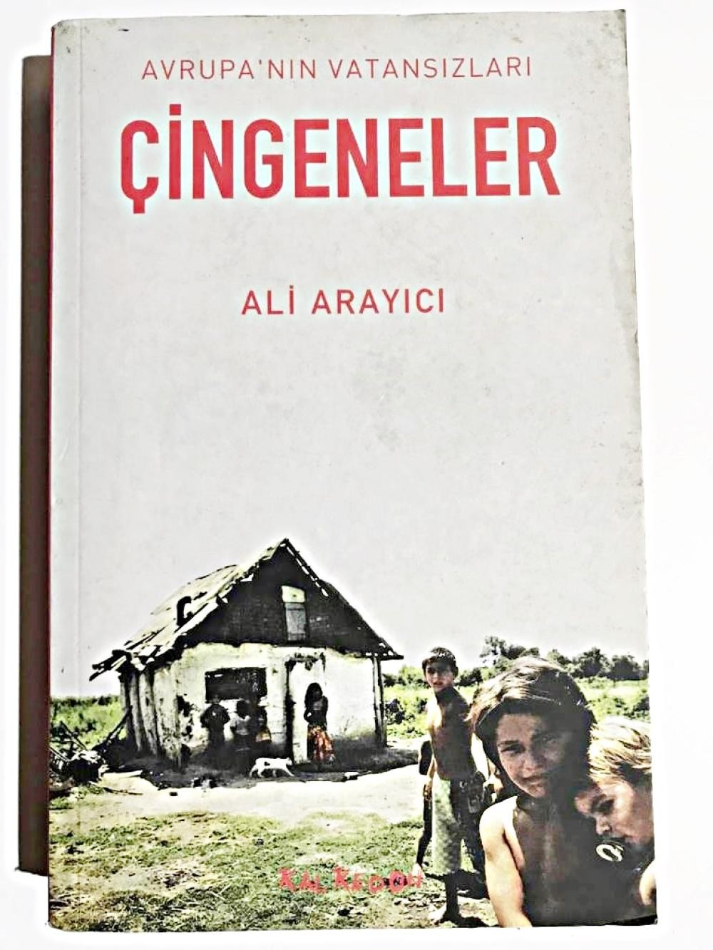 AVRUPANIN VATANSIZLARI ÇİNGENELER - ALİ ARAYICI