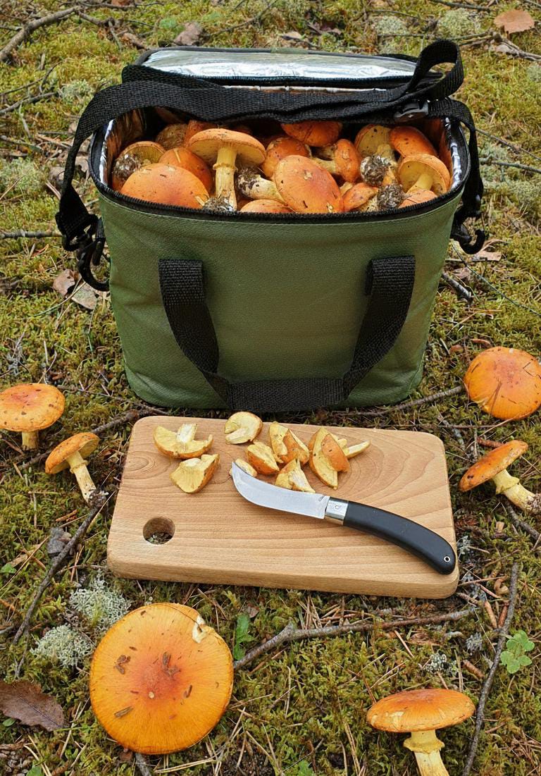 Mantar seti - Çanta, tahta, çakı