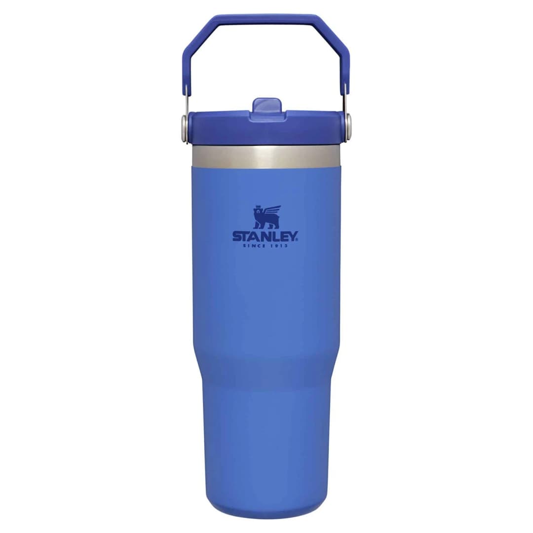 Stanley The IceFlow Flip Straw Pipetli Termos Bardak 0,89 LT — 1