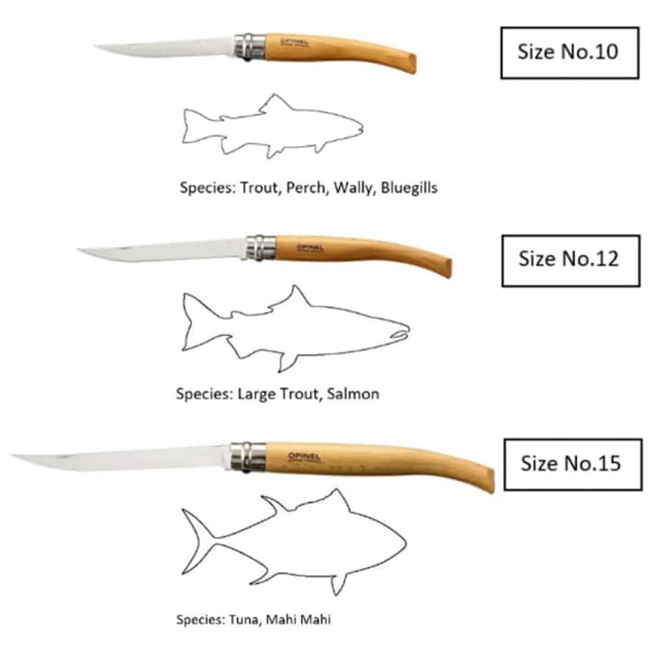 Opinel Inox 10 No Ahşap Kutulu Zeytin Saplı Fleto Çakı — 5