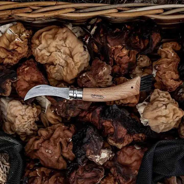 Opinel Kayın Saplı Mantar Toplama Bıçağı — 7