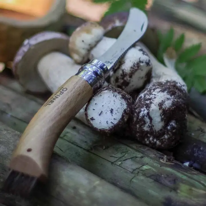 Opinel Kayın Saplı Mantar Toplama Bıçağı — 8