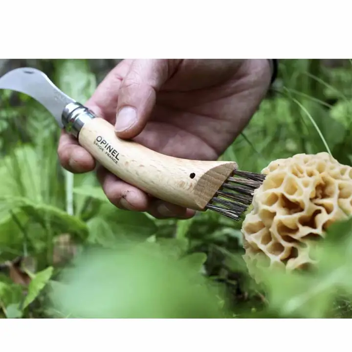 Opinel Kayın Saplı Mantar Toplama Bıçağı — 5