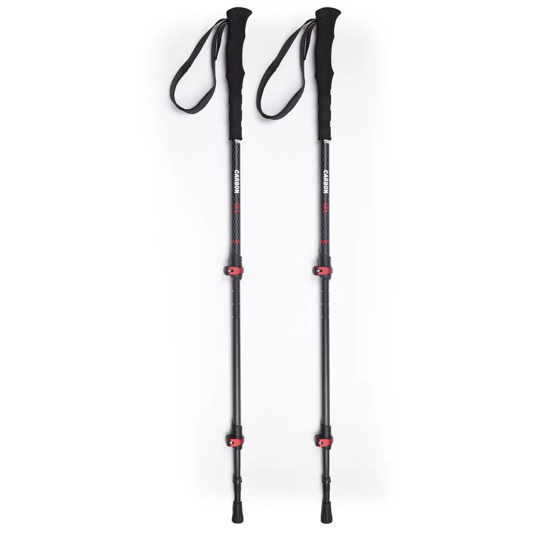 Evolite Carbon Quick-Lock Dıştan Kilitli Trekking Batonu — 4
