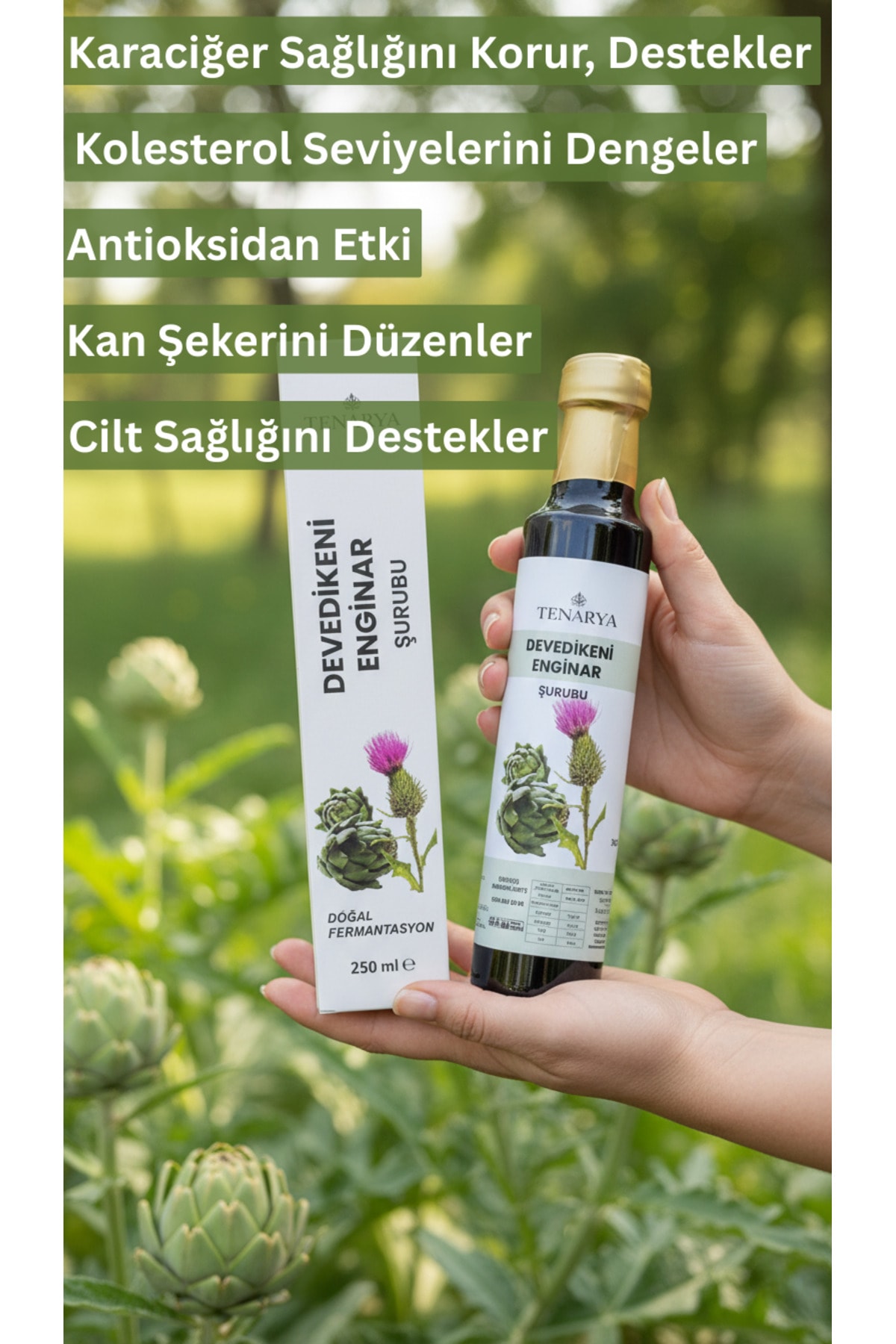 Devedikeni Enginar Şurubu