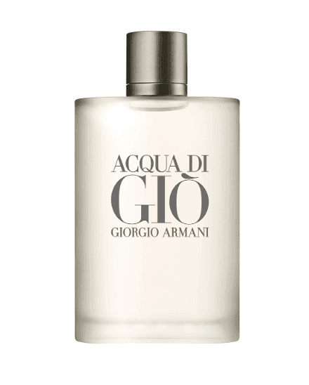 Armani - Acqua Di Gio 100 ML