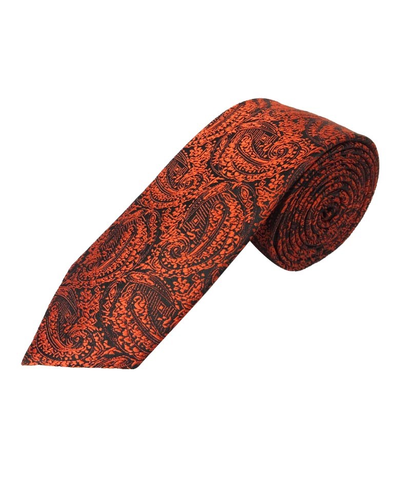 Boys & Men's Paisley Swirls Formal Tie & Hanky Set