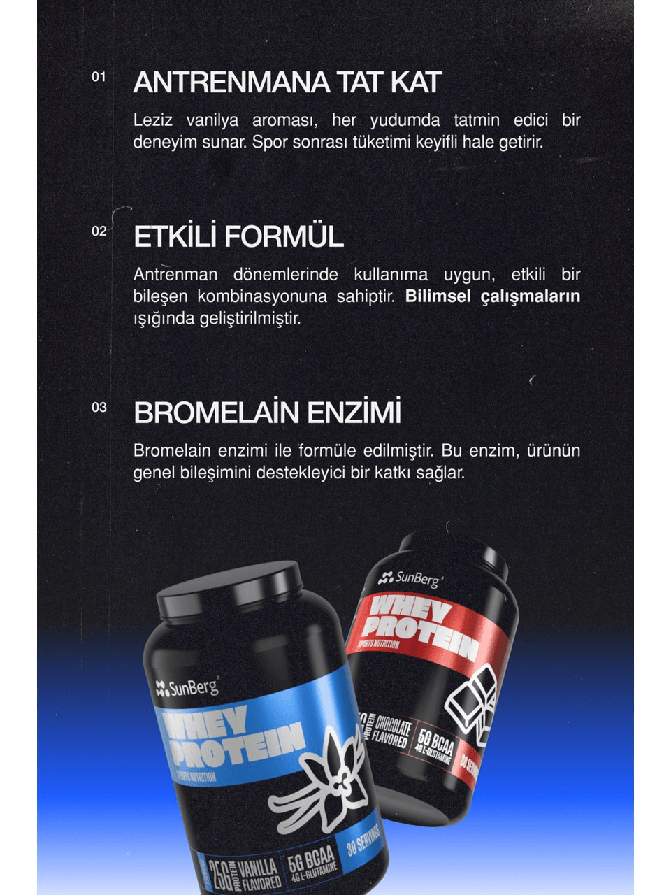 Whey Protein 30 Servis (Vanilya Aromalı)