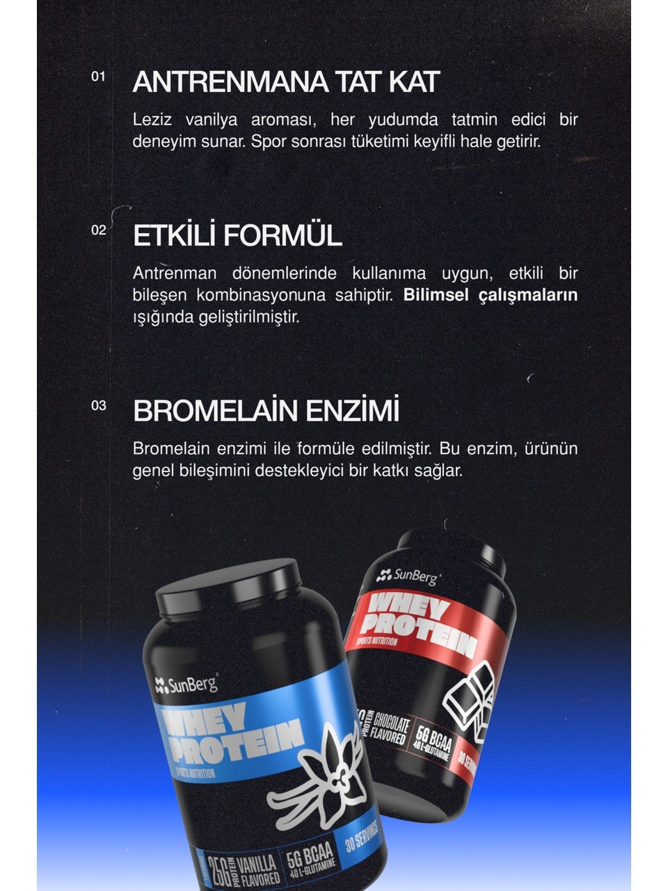 Whey Protein 60 Servis (Vanilya Aromalı)