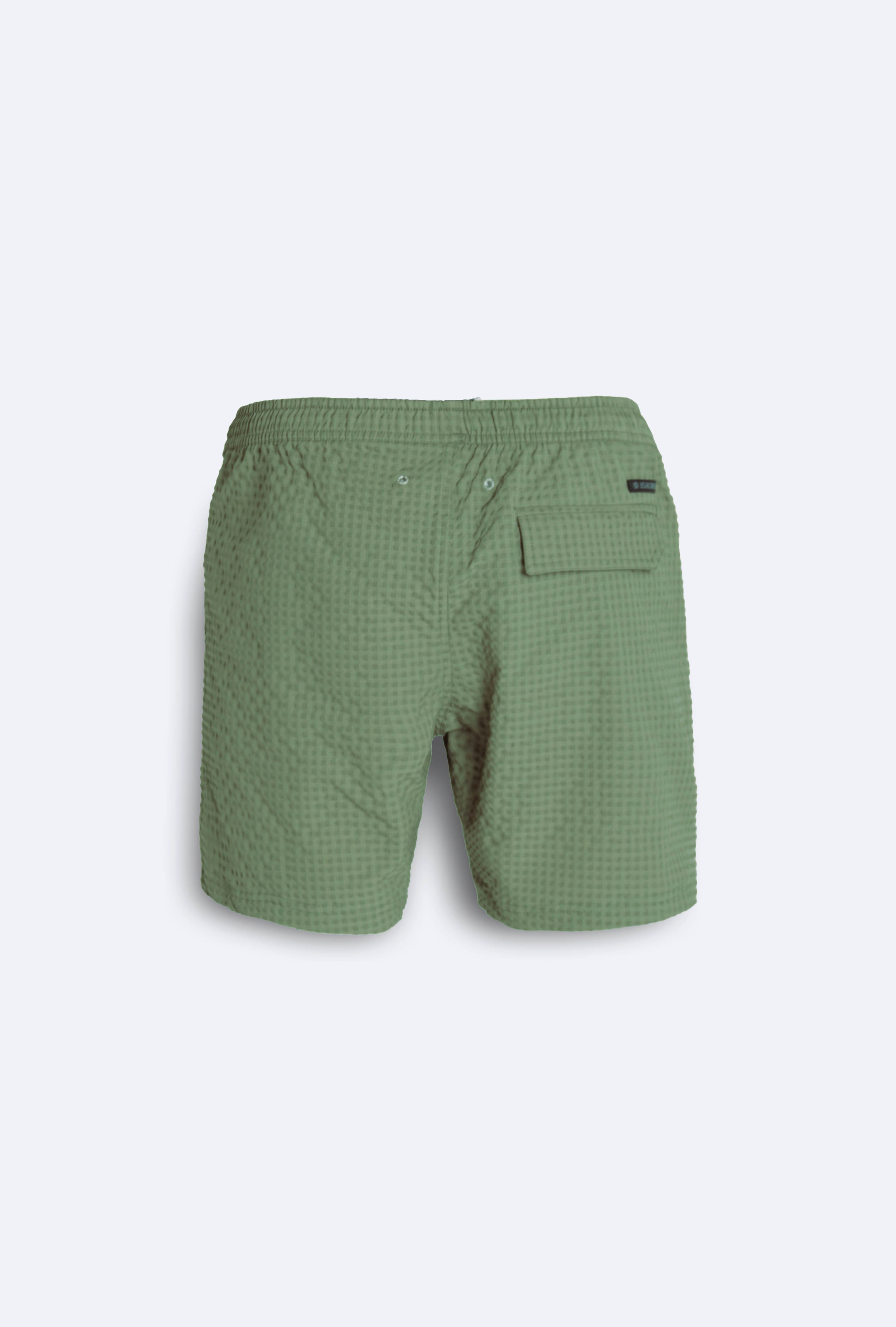 MALIBU SWIM SHORT - LICHEN GREEN