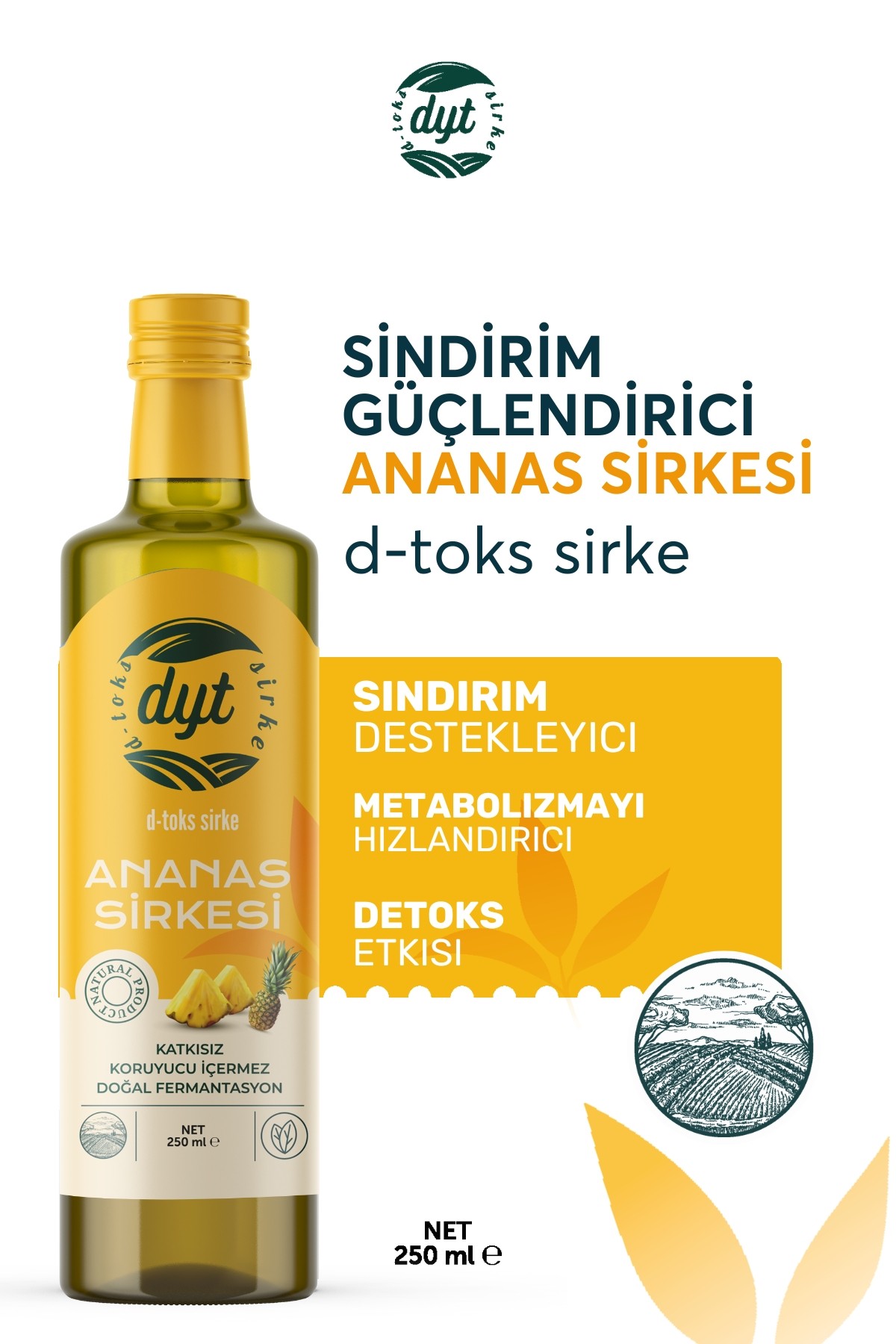 Dyt D-Toks Ananas Sirkesi