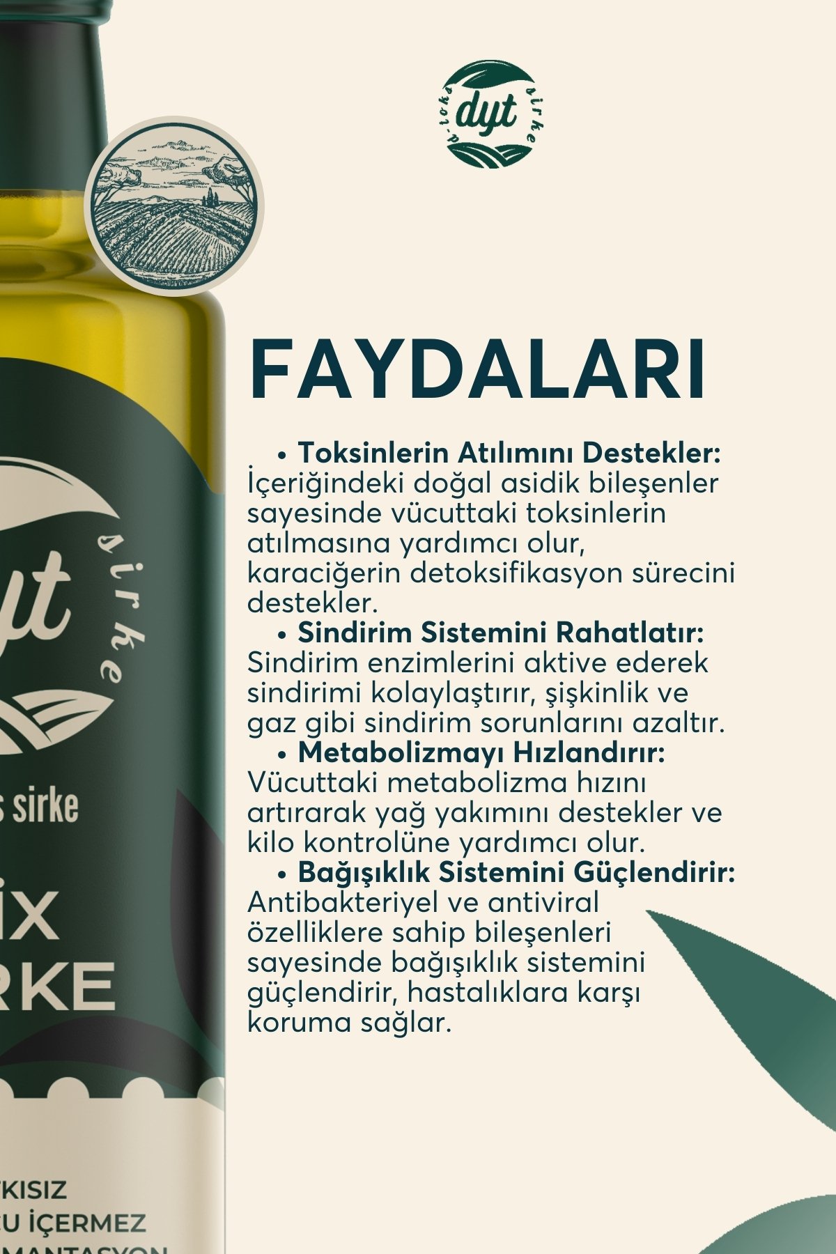 dyt d-toks detoxmix ve ananas sirkesi 2'li paket