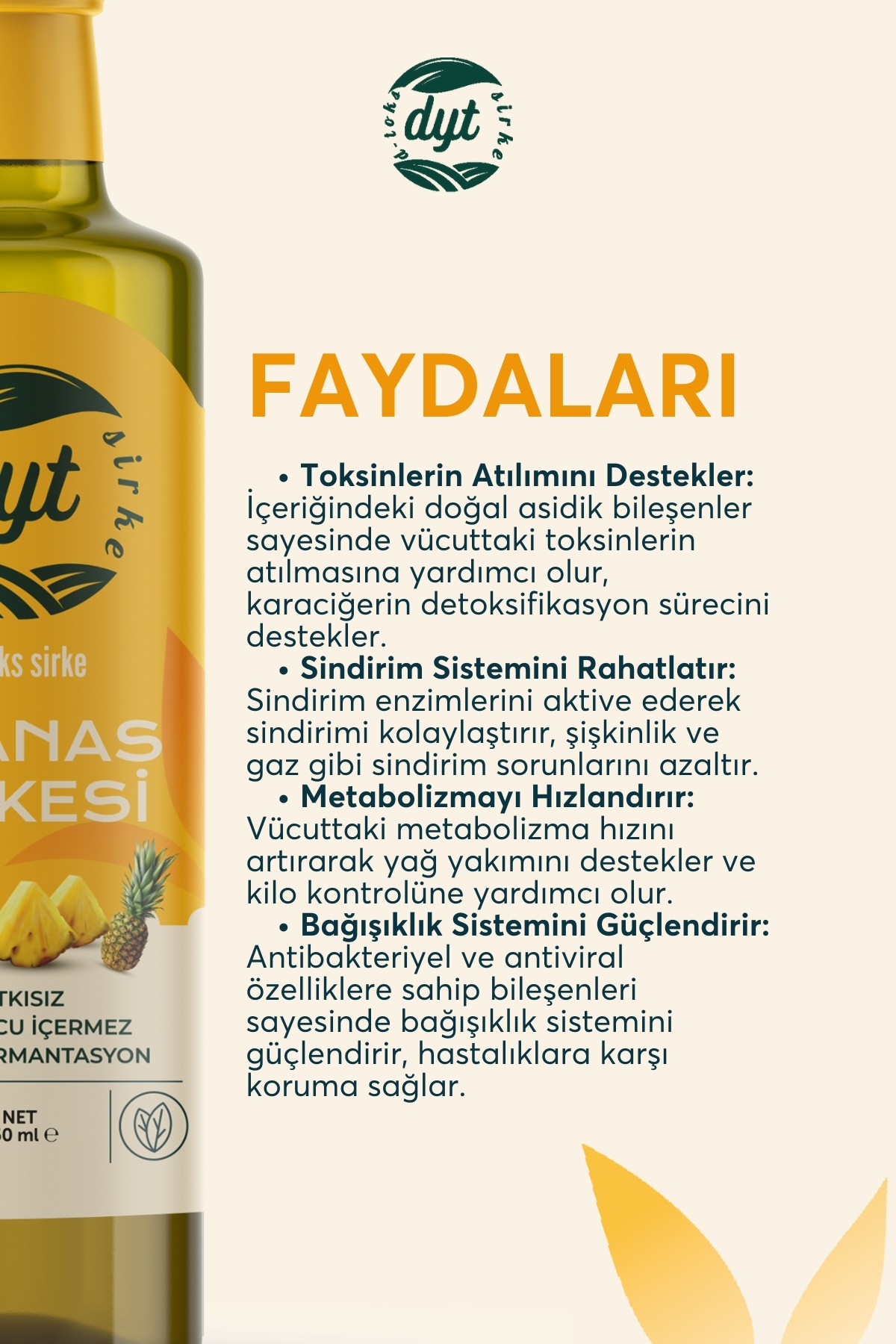 dyt d-toks detoxmix ve ananas sirkesi 2'li paket