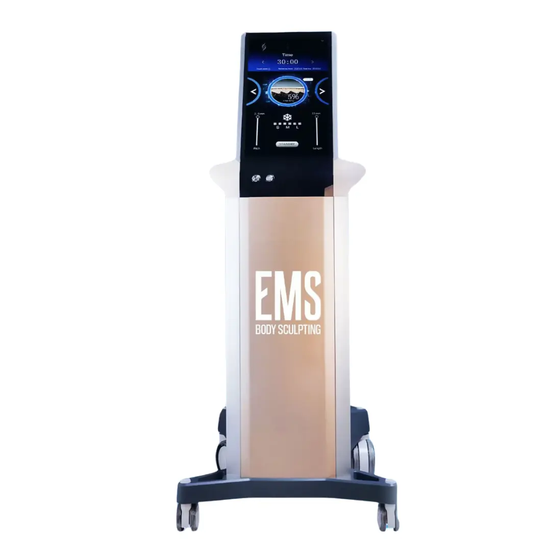 EMS Body