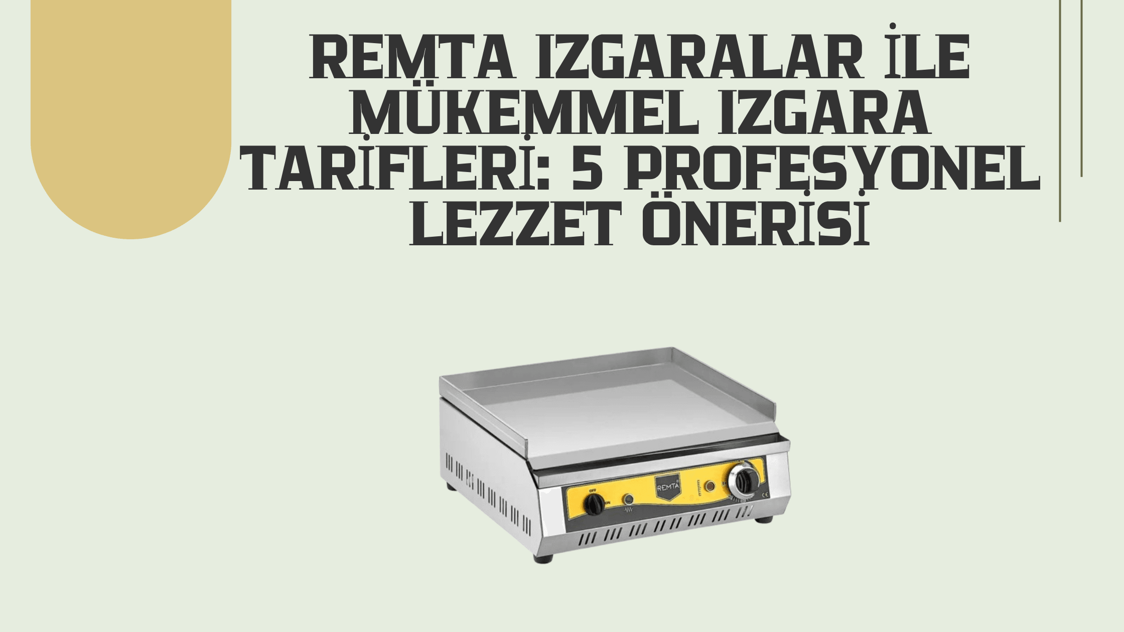 Remta Izgaralar ile Mükemmel Izgara Tarifleri: 5 Profesyonel Lezzet Önerisi