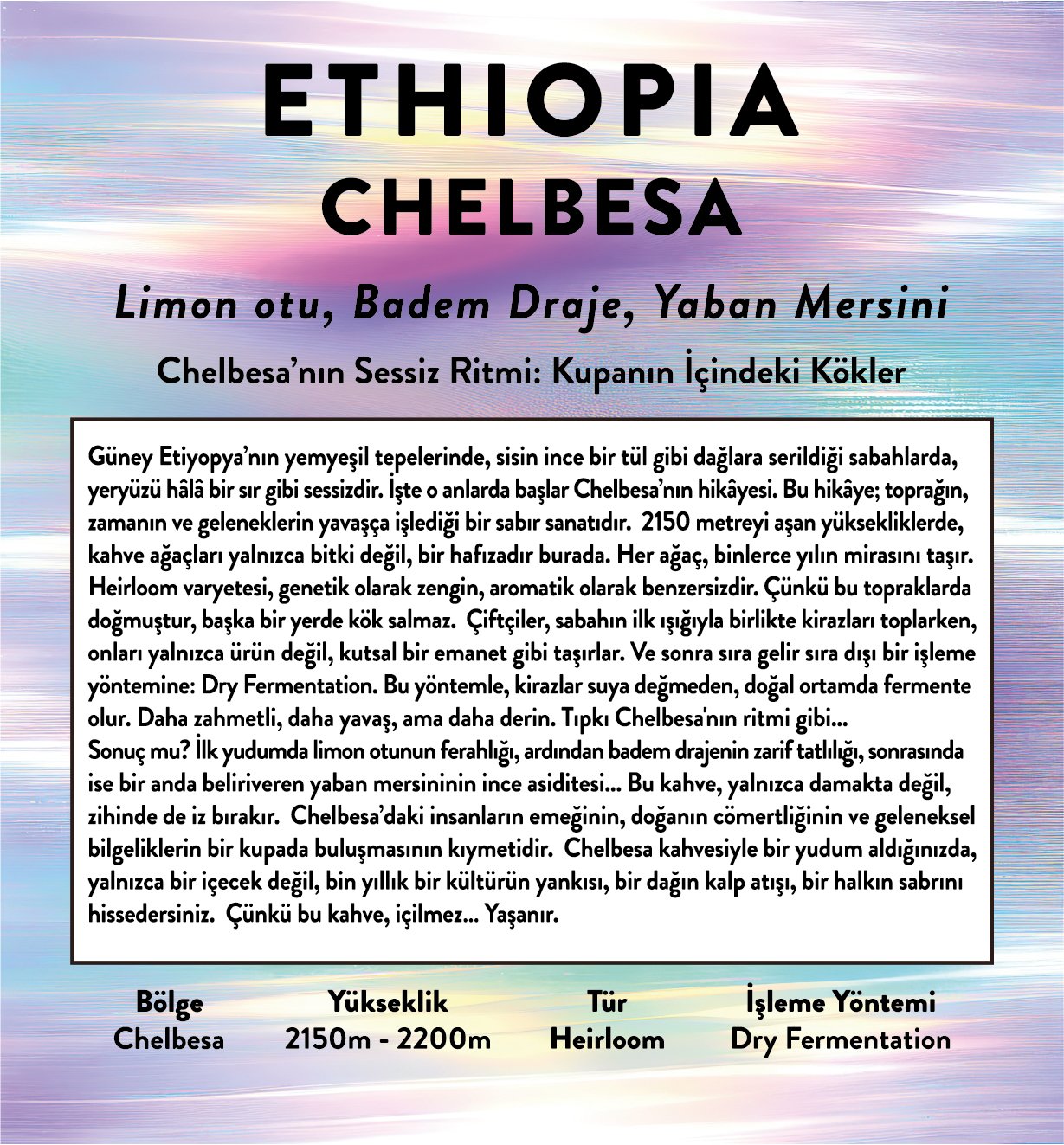 Ethiopia Chelbesa