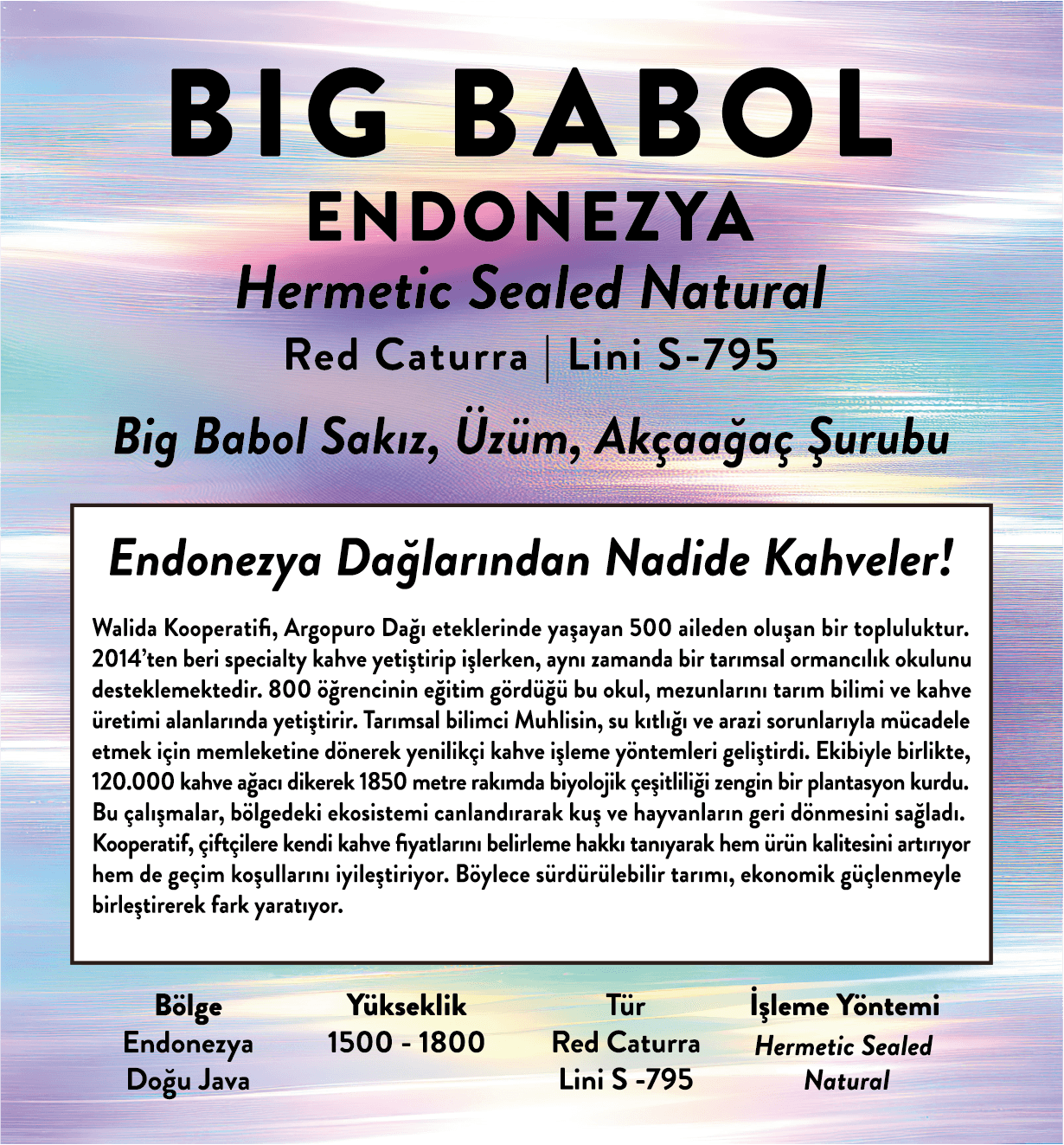 Endonezya Big Babol