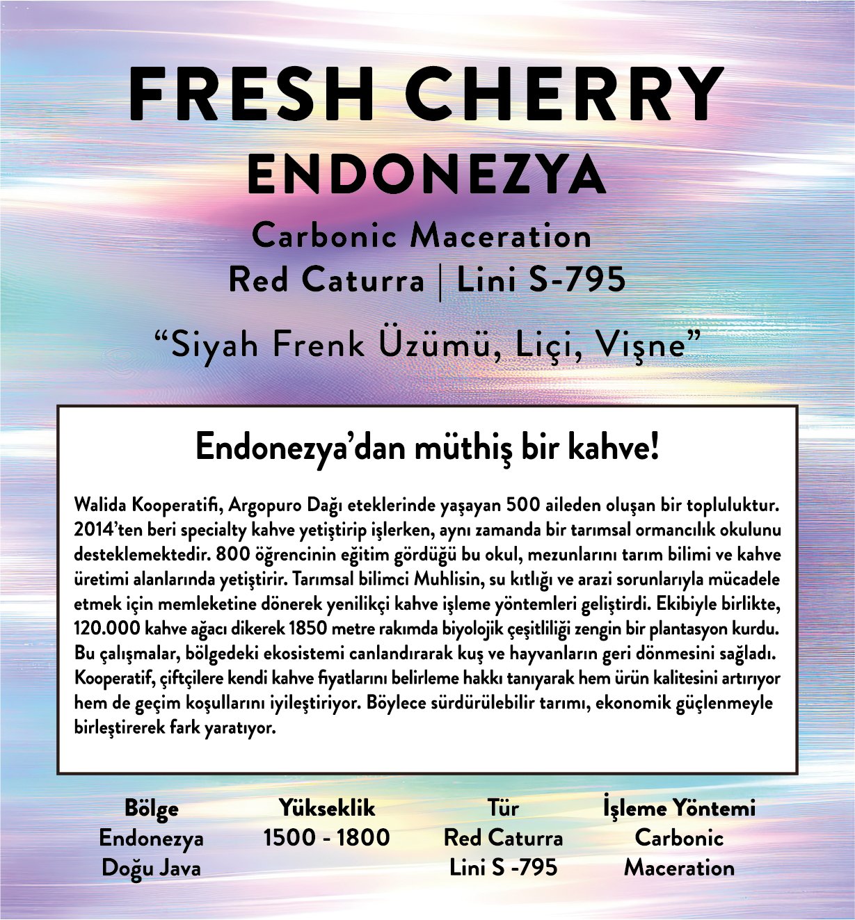 Endonezya Fresh Cherry