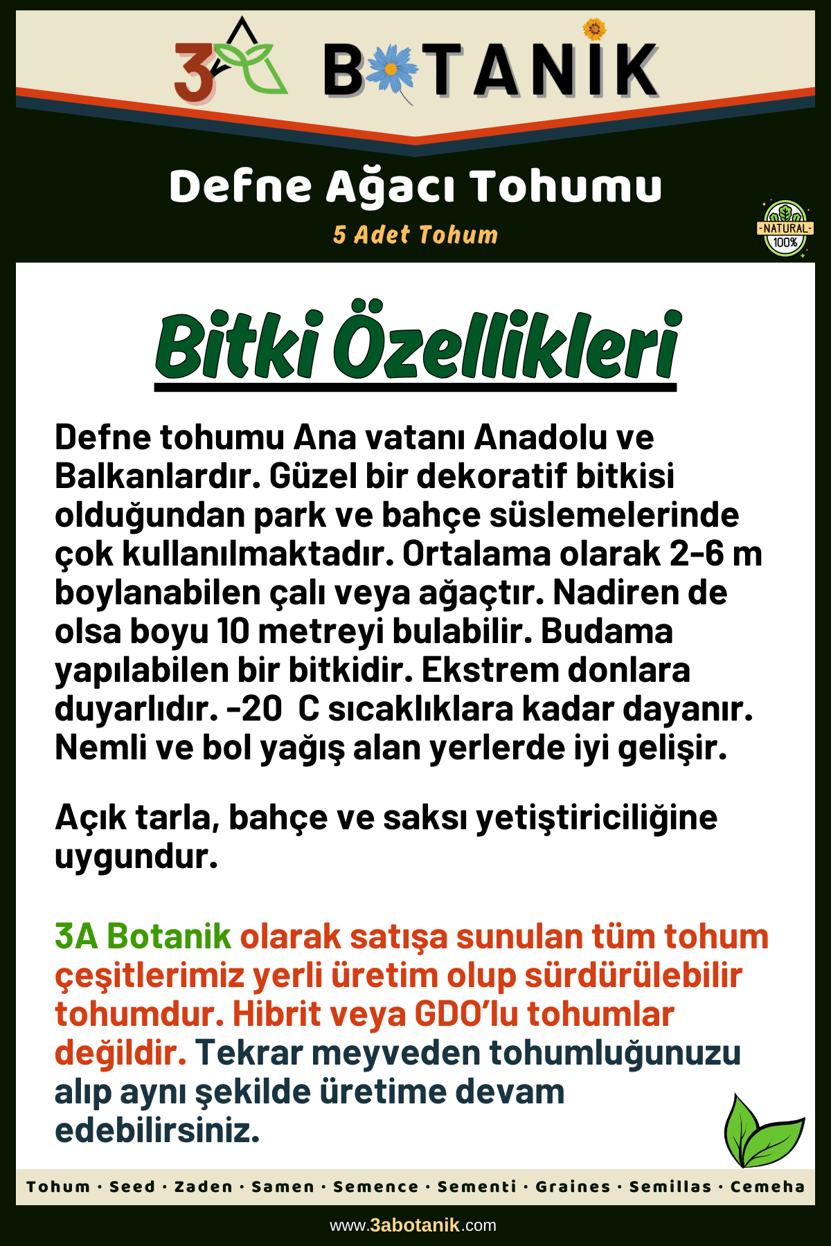 Defne Ağacı Tohumu, 5 Adet Tohum