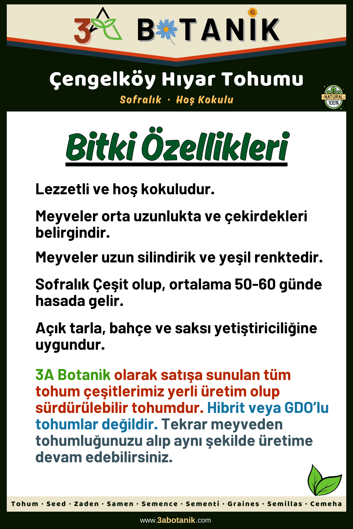 Çengelköy Hıyar Tohumu