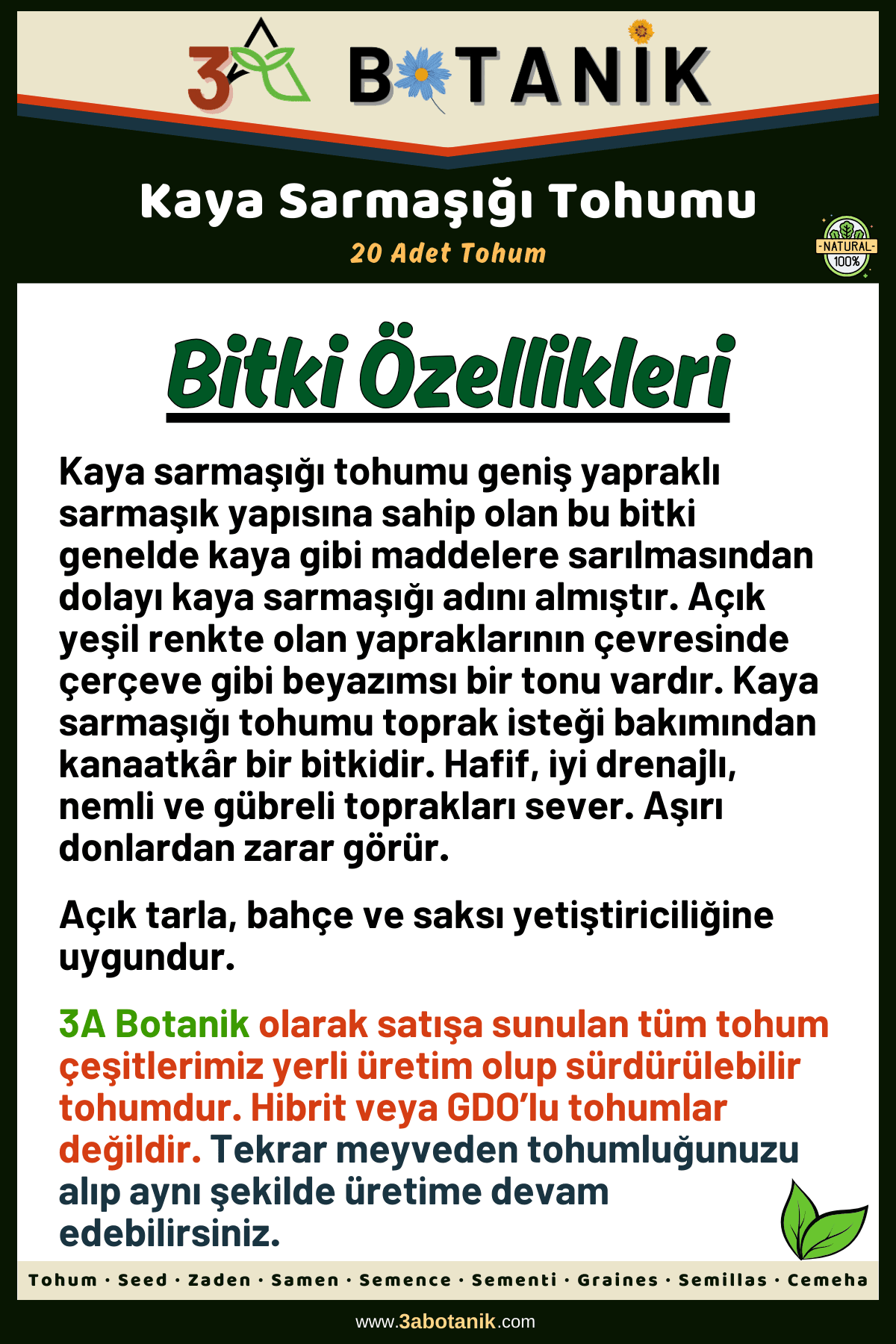 Kaya Sarmaşığı Tohumu, 20 Adet Tohum