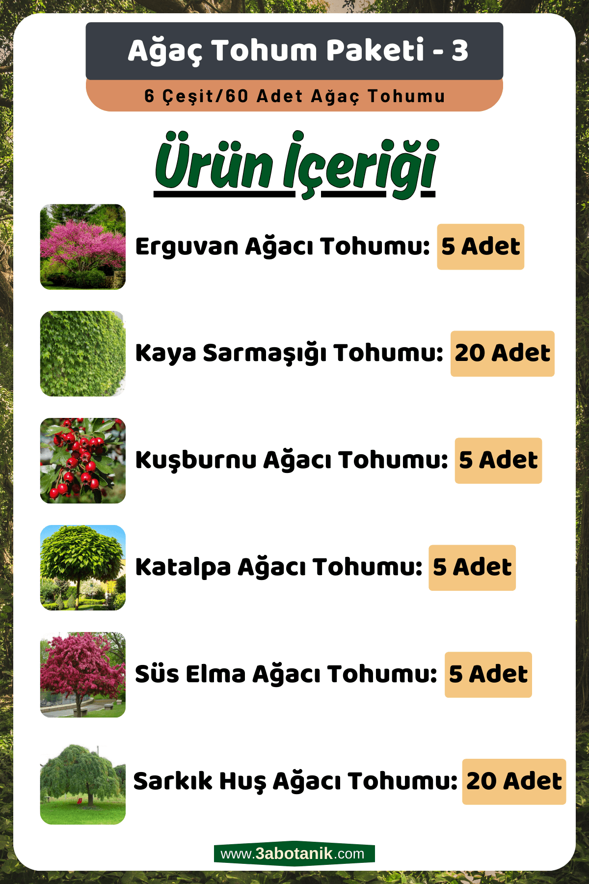 Ağaç Tohum Seti - 3