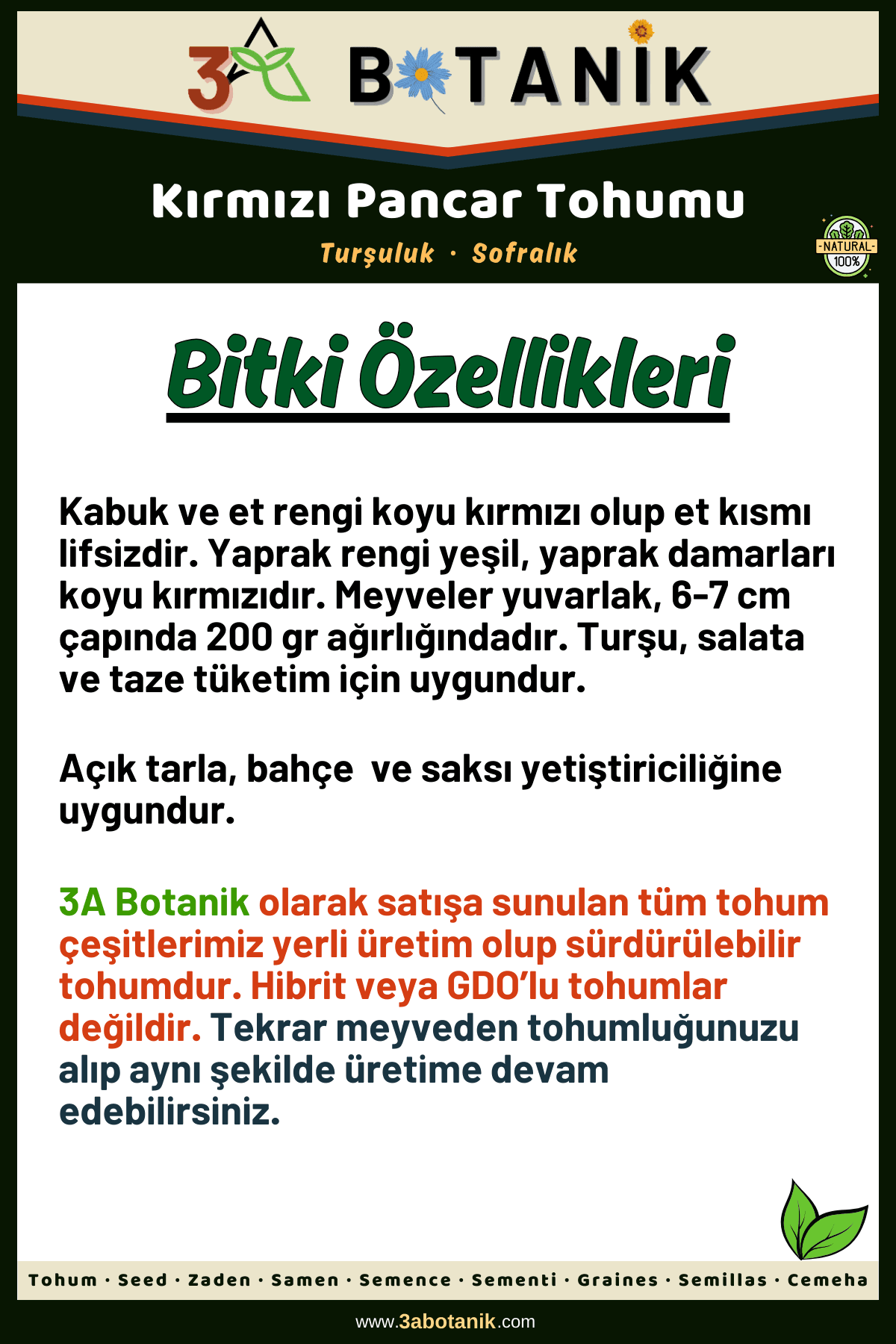 Kırmızı Pancar Tohumu