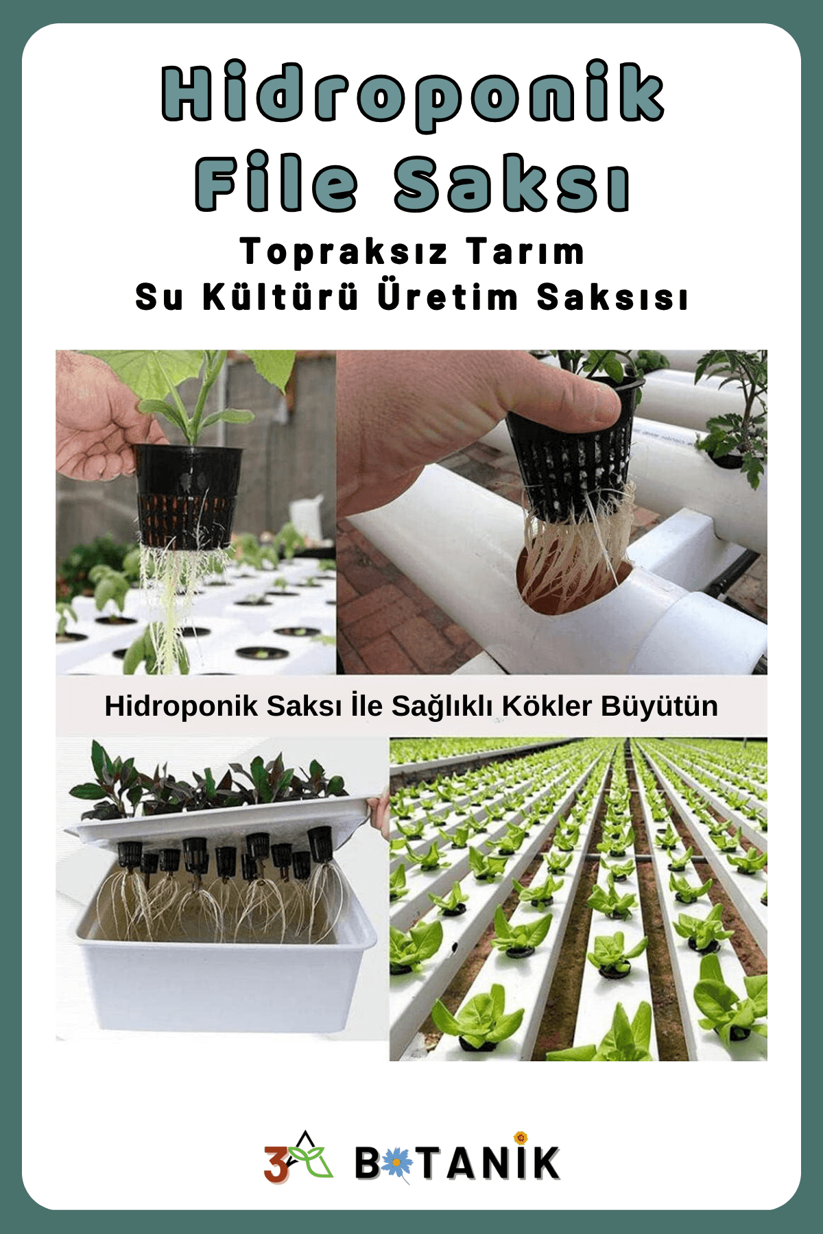 Hidroponik File Saksı, Topraksız Tarım Üretim Saksısı