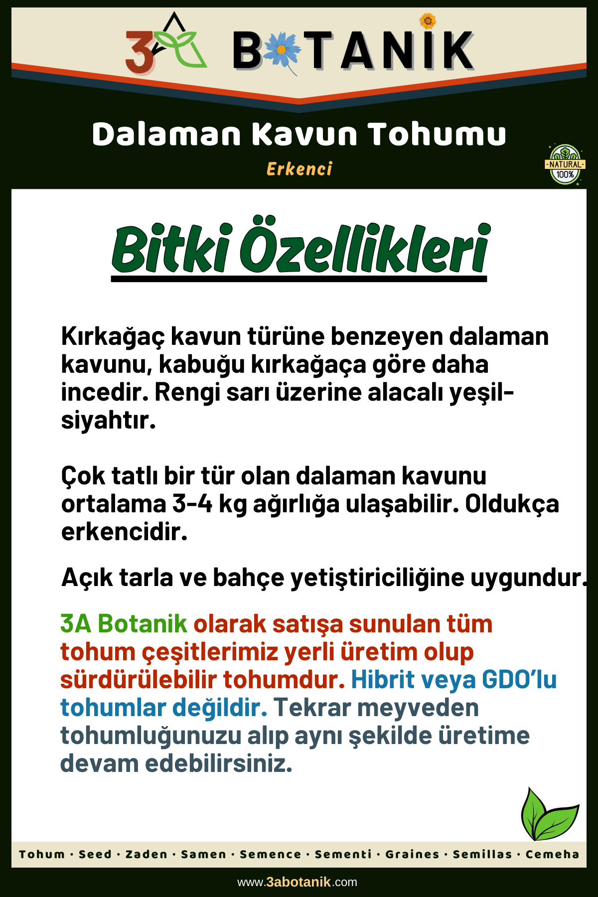 Dalaman Kavun Tohumu