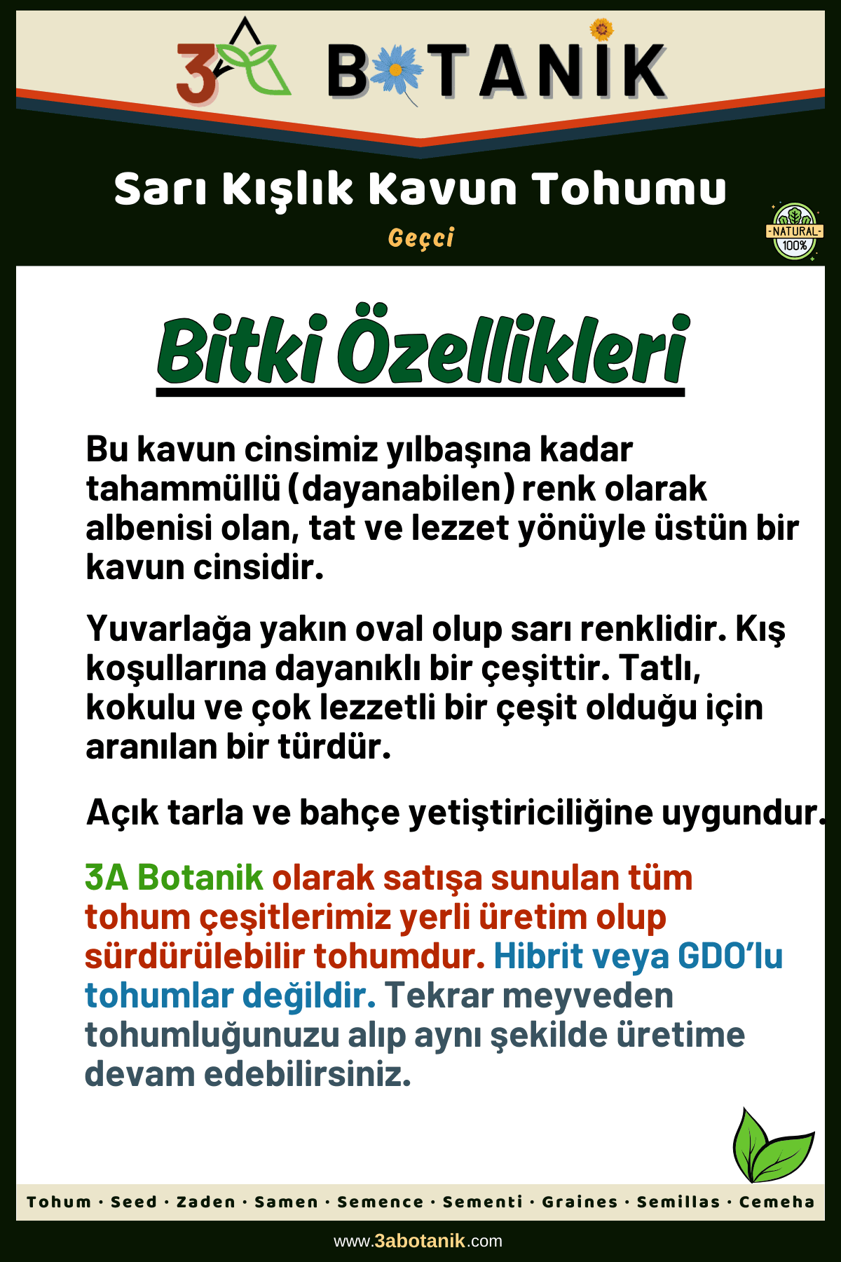 Sarı Kışlık Kavun Tohumu