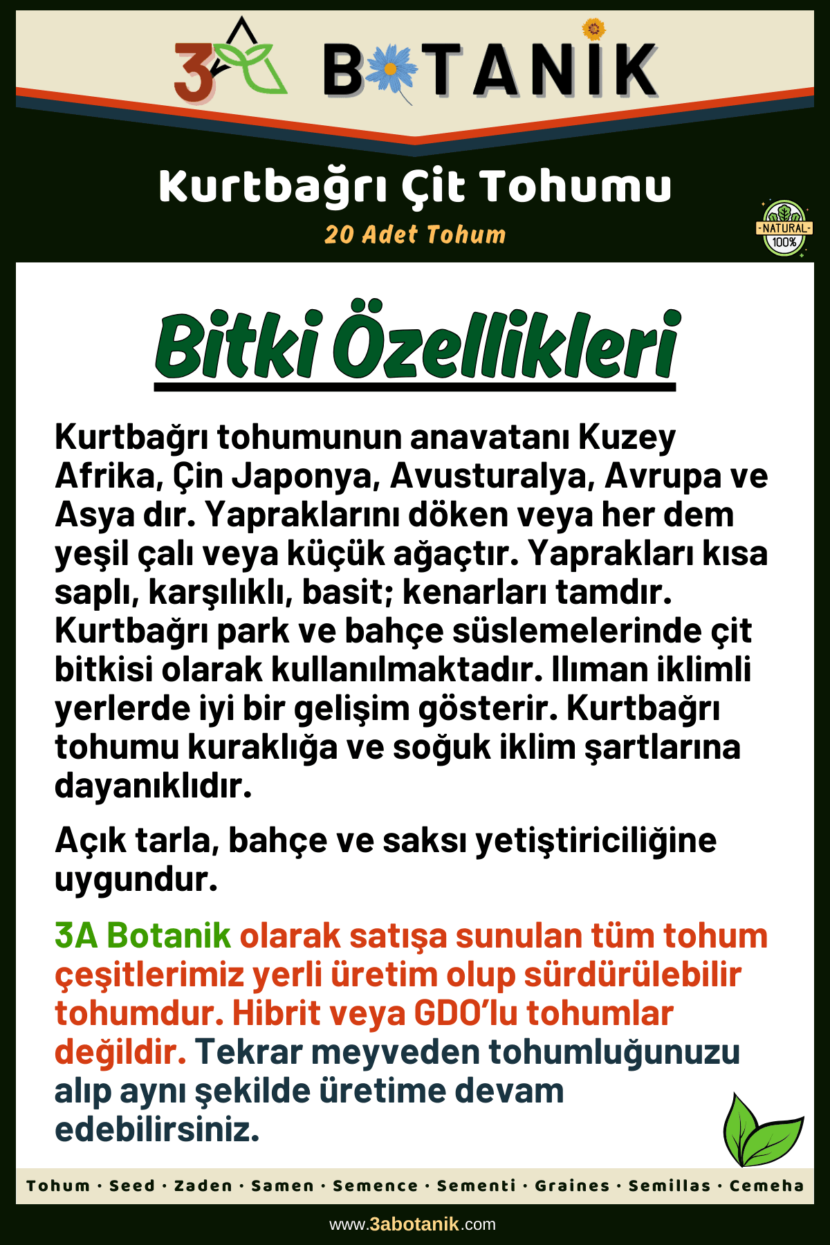 Kurtbağrı Çit Tohumu, 20 Adet Tohum