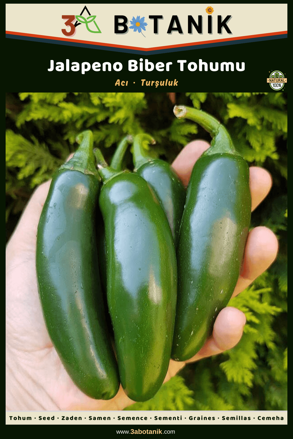 Jalapeno Biber Tohumu