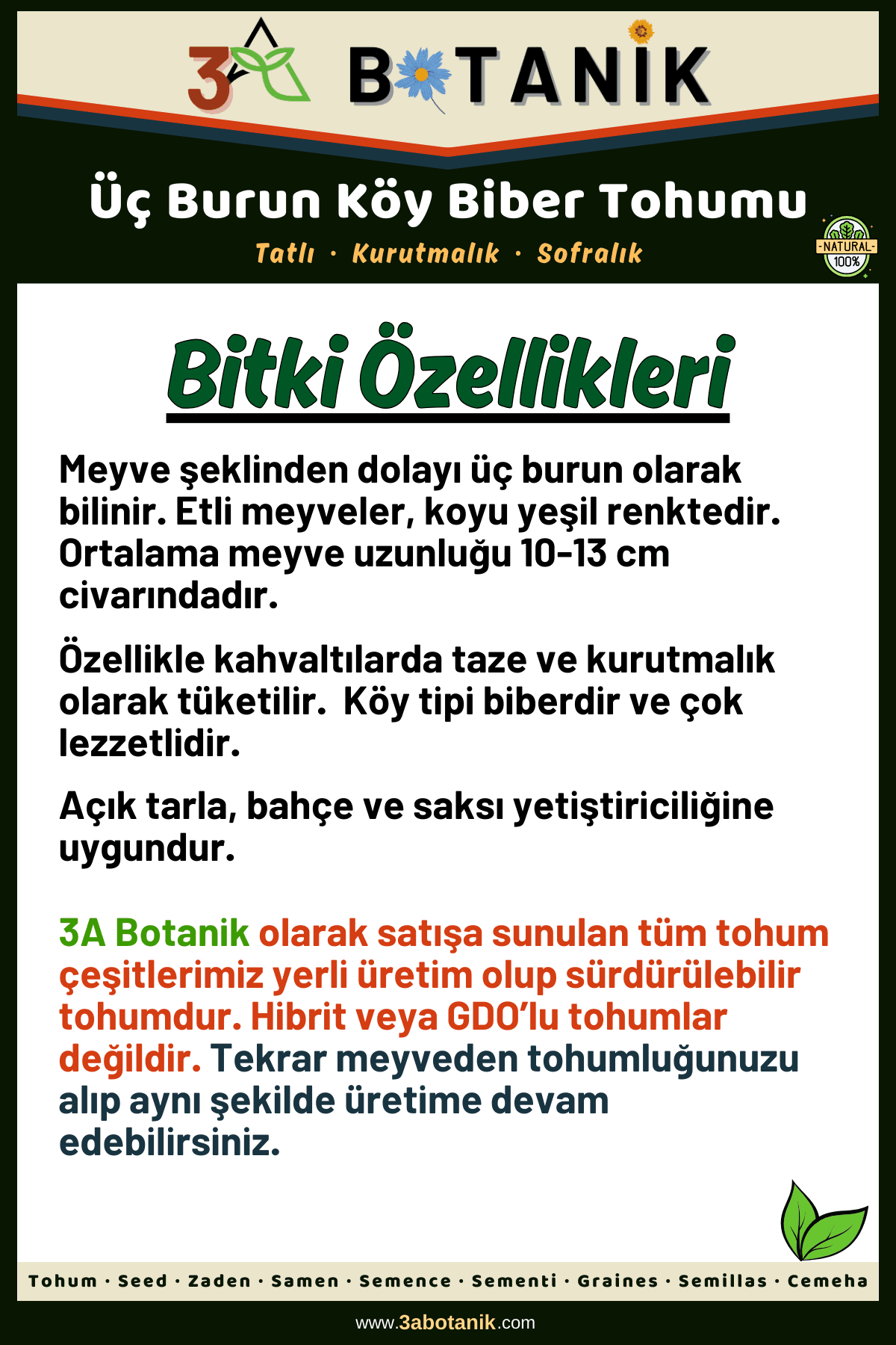 Üç Burun Köy Biber Tohumu