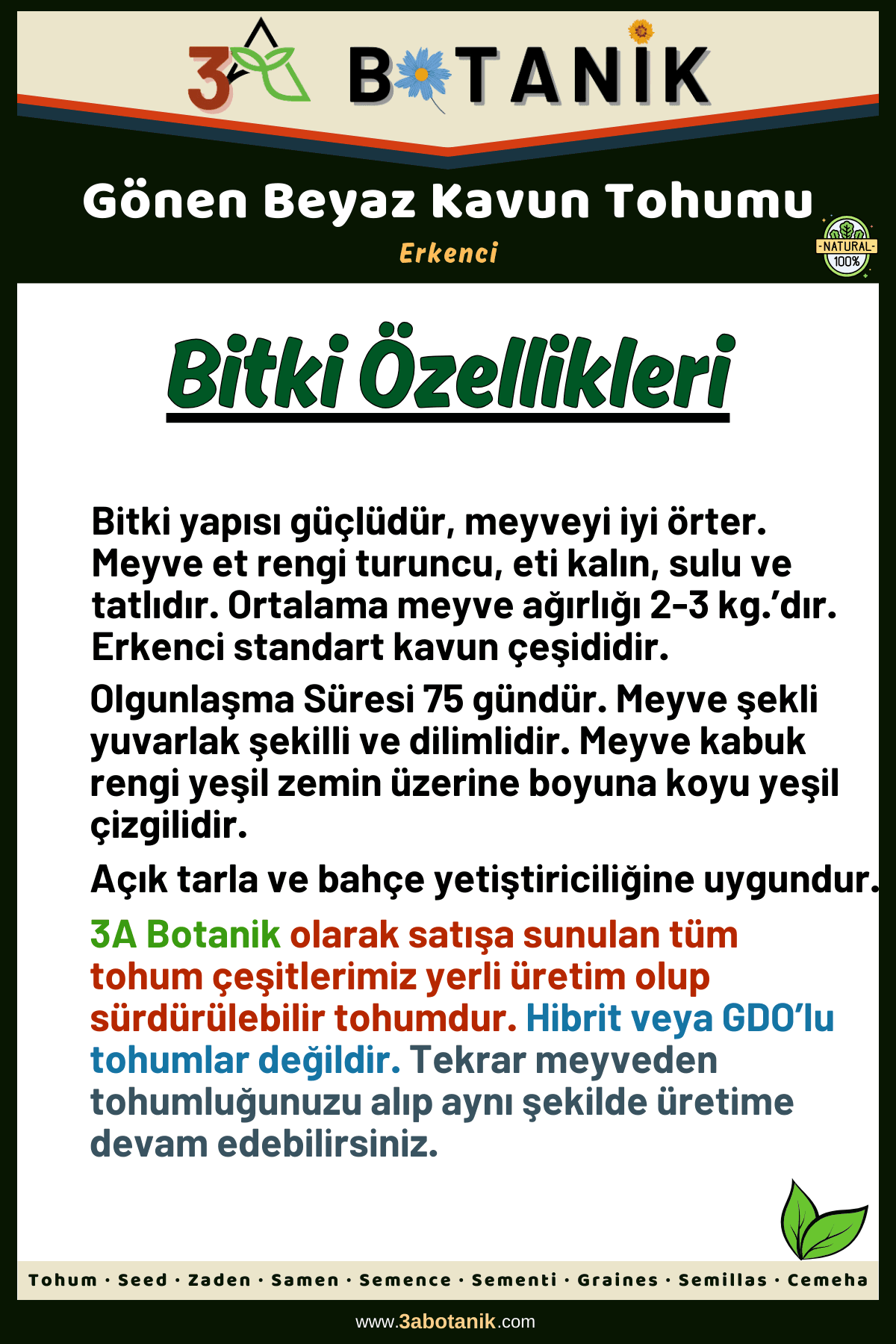 Gönen Beyaz Kavun Tohumu