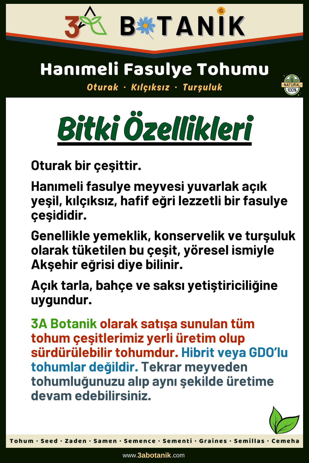 Hanımeli Fasulye Tohumu