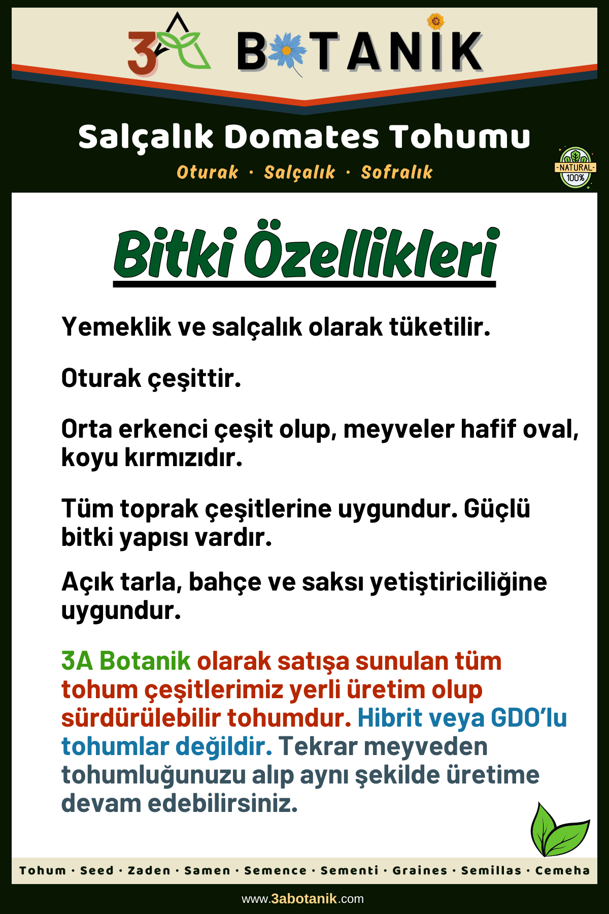 Salçalık Domates Tohumu