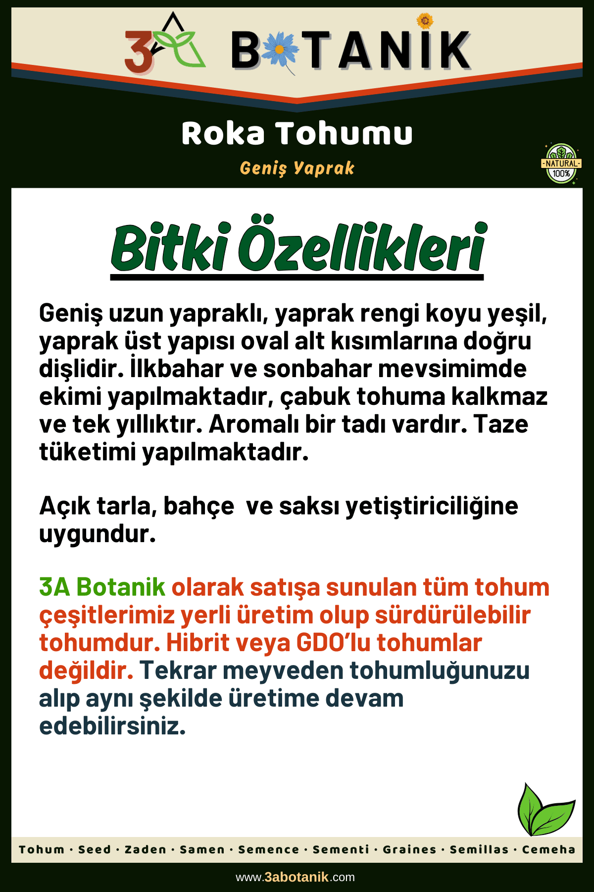 Geniş Yaprak Roka Tohumu