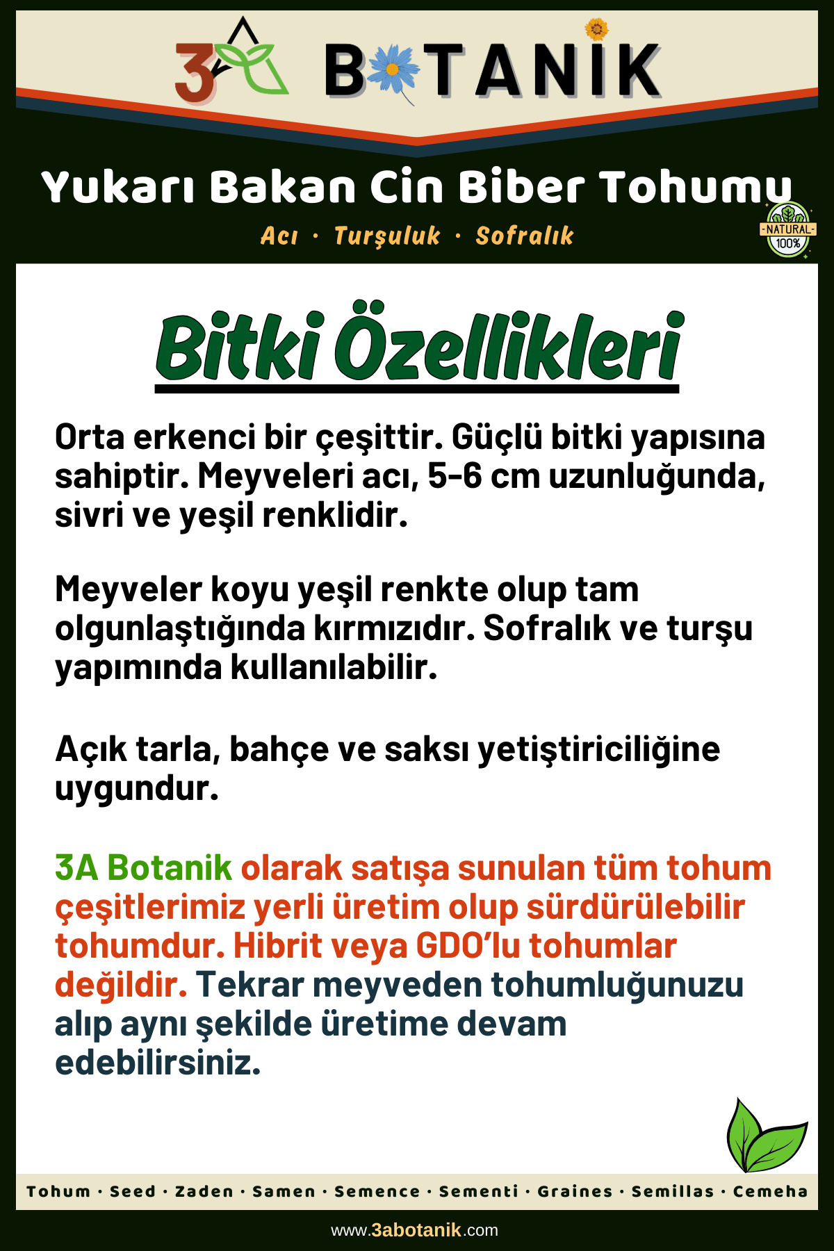 Yukarı Bakan Cin Biber Tohumu