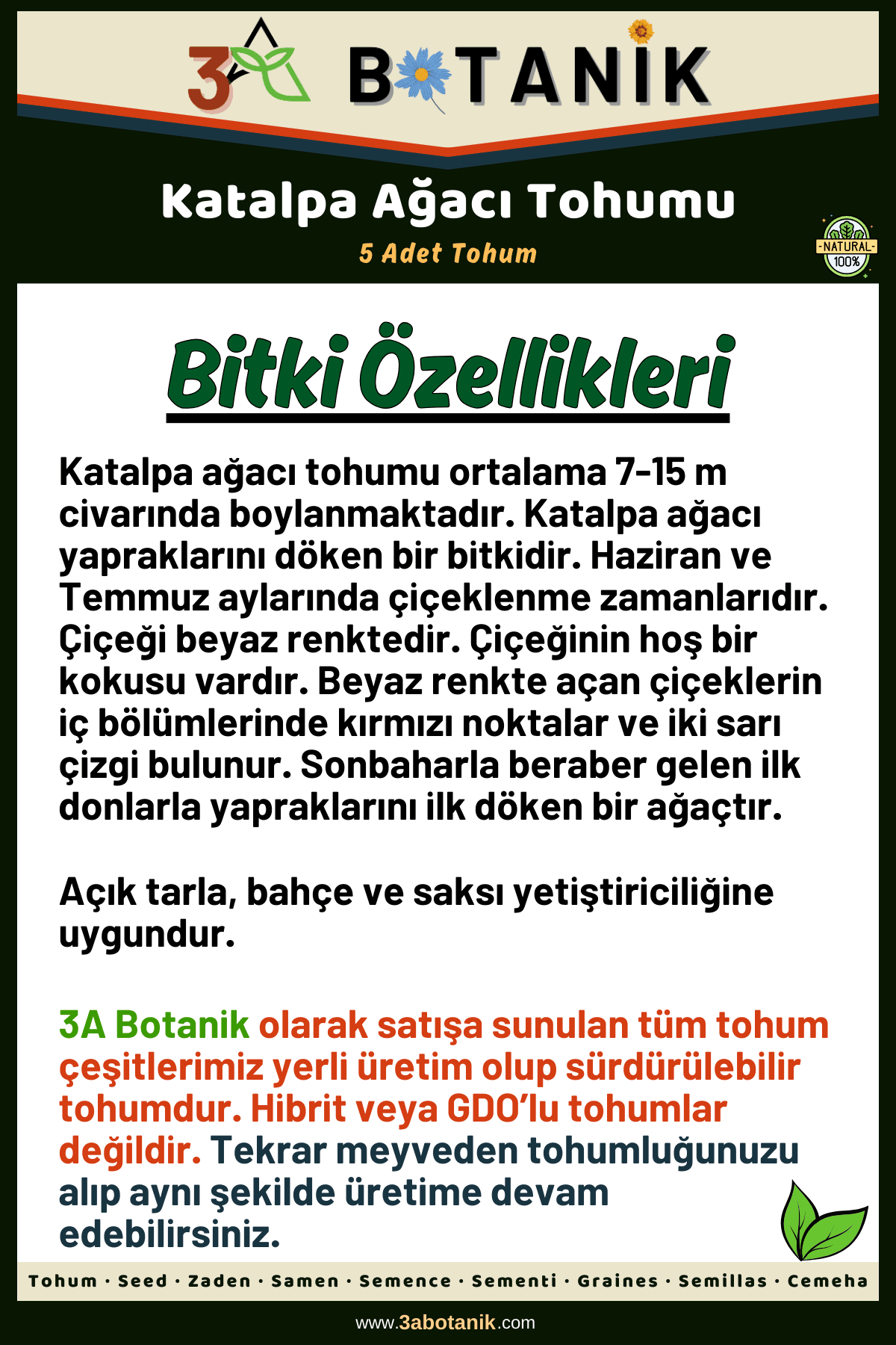 Katalpa Ağacı Tohumu, 5 Adet Tohum