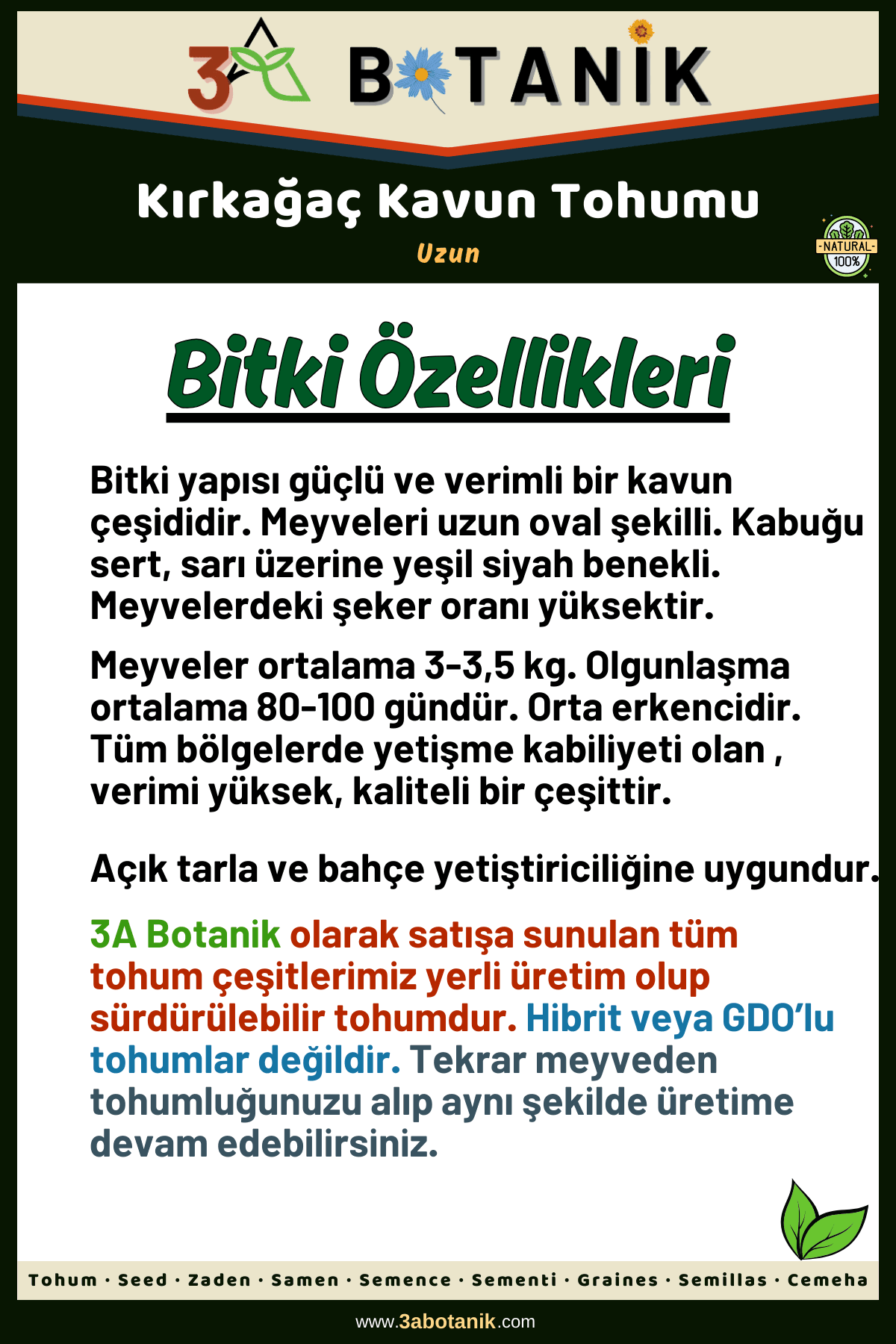 Kırkağaç Kavun Tohumu