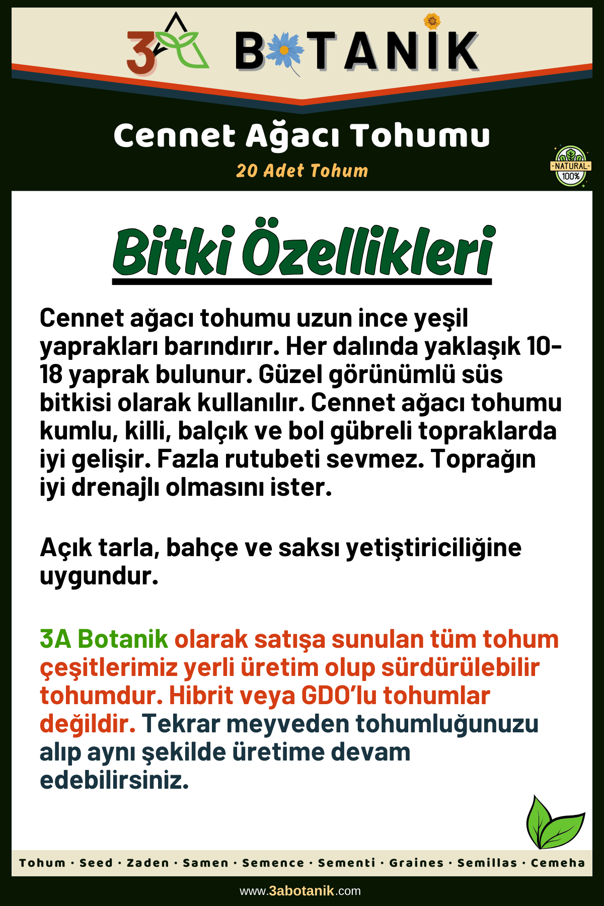 Cennet Ağacı Tohumu, 20 Adet Tohum