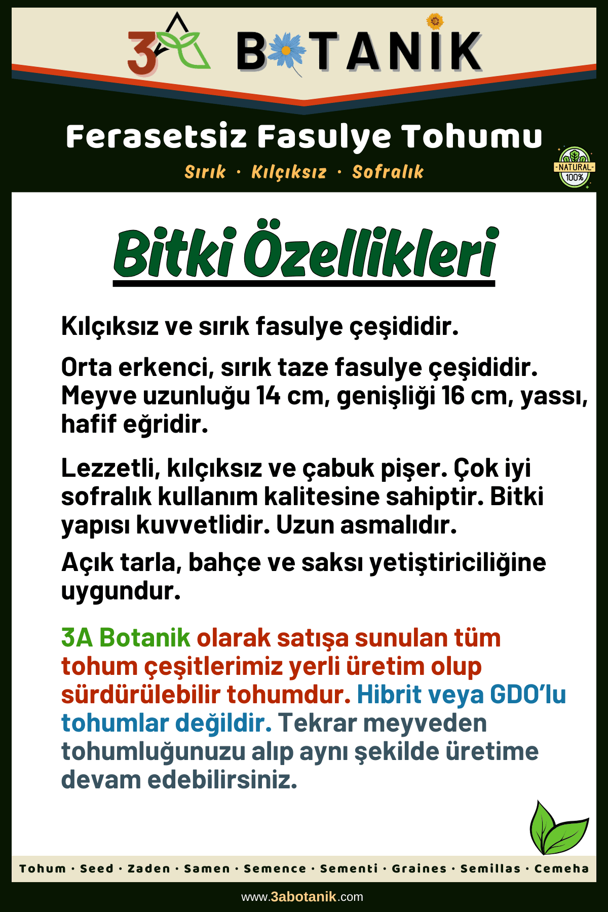 Ferasetsiz Fasulye Tohumu